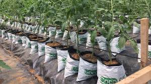 téléchargement (99)