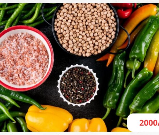 Présentation Pédagogique Animation Image par Image Style Collage en Gris et Blanc (54)