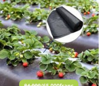 Paillages 20 et 30microns