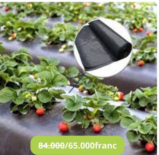 Paillages 20 et 30microns