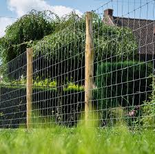 téléchargement (85) téléchargement (85)