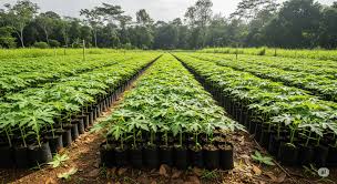 Gaine hors sol en plastique