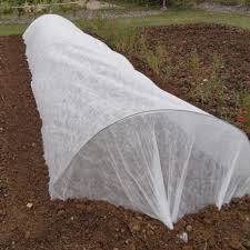 P17( voile de forçage)