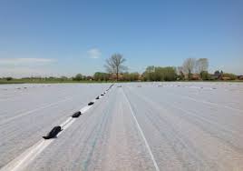 P17( voile de forçage)